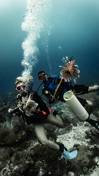 Nautilus Dive Center - PADI Isla Fuerte