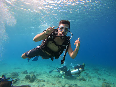 Island divers