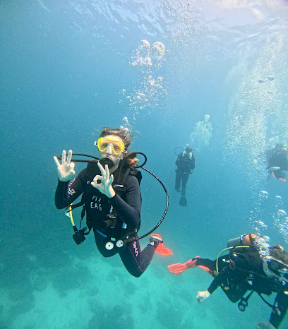 Eagleray Galapagos Diving