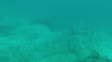 Pilardive