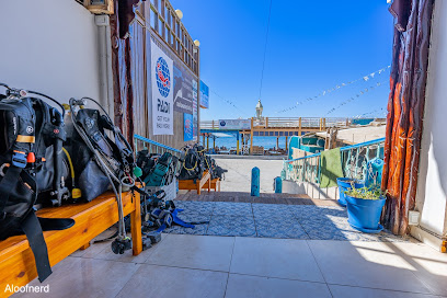 Fun Divers Diving Club