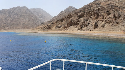 BlueOcean Dive