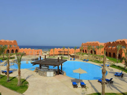 Black Camel Tours