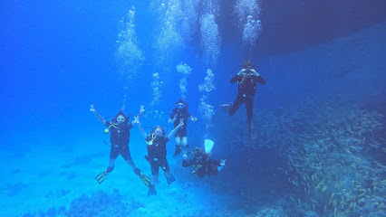 Diving And snorkeling trips