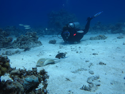 Diving Legends