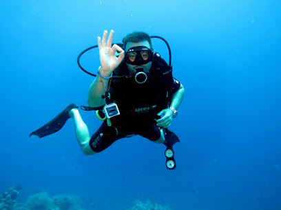 aqauruim dive center