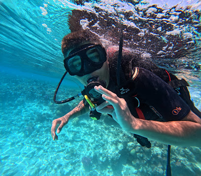 Sea Skills Tours