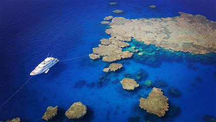 Oceanos Safari - Croisières Mer Rouge
