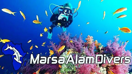 Marsa Alam Divers