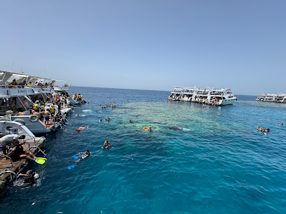 SeaWorld Dive Club