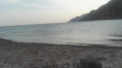 Dahab tours