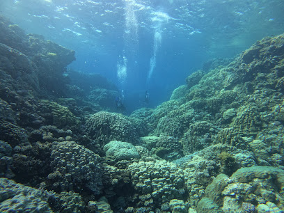 Wadi Lahami Village Red Sea Diving Safari