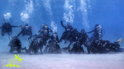 Take Me Diving A.S.D