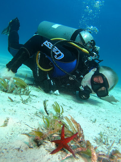 Hurghada Dive Top