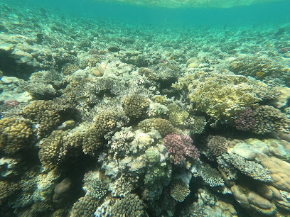 Sharm El Naga diving Center