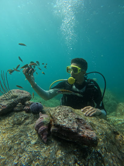 M'diq International Diving Club