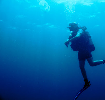 Chems Diving