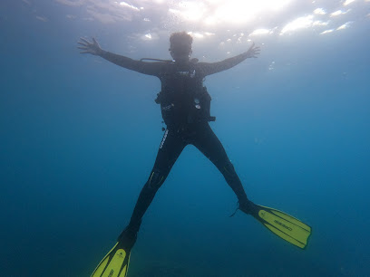 Association Mérou de plongée sous marine