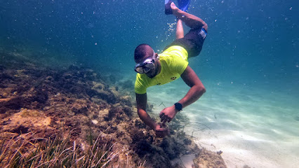 Dive Trip Djerba