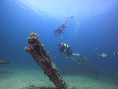Subway Diving Center Mahdia