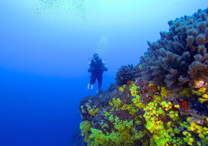 Viradu Pa Mar Diving School