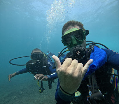 Cidade Velha Diving