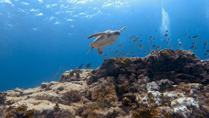 Santa Maria Dive Center