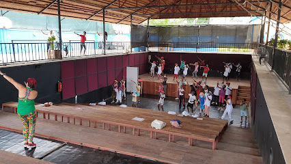 Octopus Training Center (old AFA)