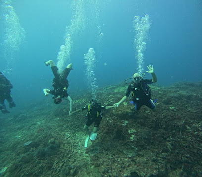 Turtle Bay Dive Center