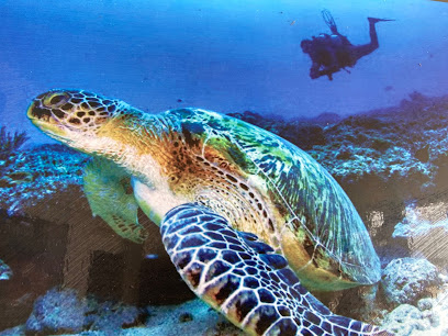 Scuba Duka (PADI DIVE center)