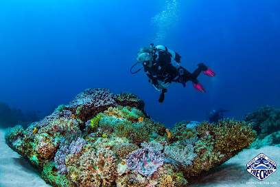 Diving The Crab - Kenya's Best Scuba Diving Centre