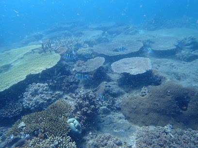 Blue Vision Dive Center