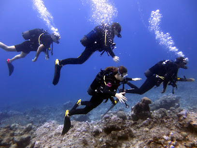 MAURITIUS DIVE ADVENTURES - BLUE DOLPHIN PEARL BEACH
