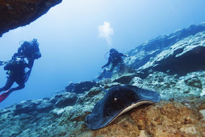 CORAL DIVING ADVENTURES -BLUE. BAY