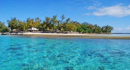 SEAFAN ADVENTURES - LUX* BELLE MARE