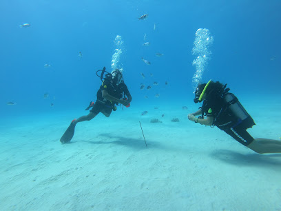 Bubble Diving Center