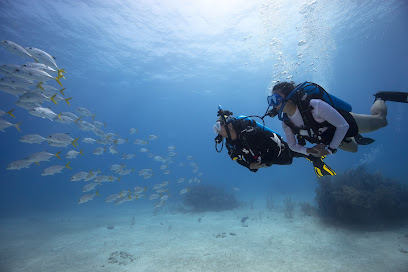 BLUE WORLD ADVENTURES - BLUE BAY