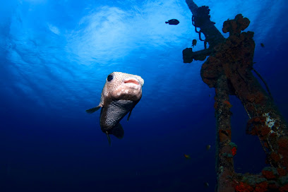 Pro Dive Mauritius