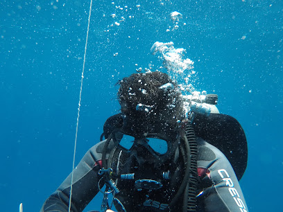 Dodo Divers