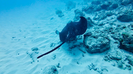 MAURITIUS DIVE ADVENTURES - BEL OMBRE