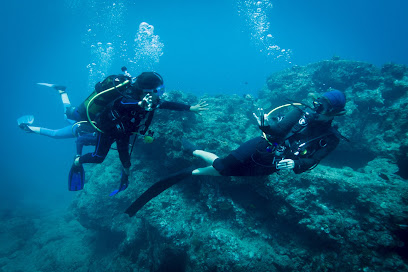 SeaUrchin Diving Center