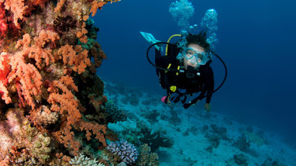 Crystal Divers Mauritius