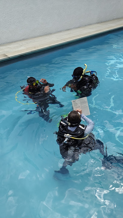 Panorama Divers