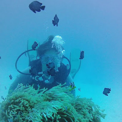 Atlantis Dive Center