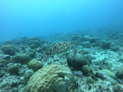 Island Divers Mauritius