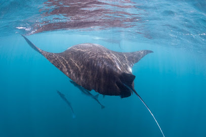 Peri Peri Divers Morrungulo | Scuba Diving | ACCOMMODATION