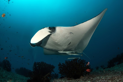 DIVERSITYScuba