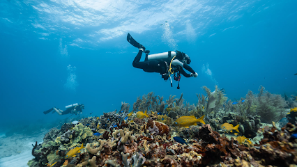 Maputo Dive Center