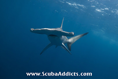 ScubaAddicts Mozambique