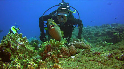 Diving Center Saint Gilles La Reunion : Mascareignes Plongée